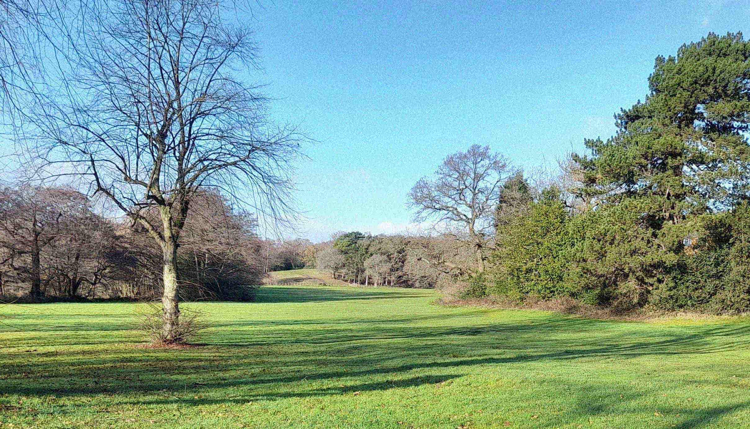 Sutton-Park-walk-archaeology-walk